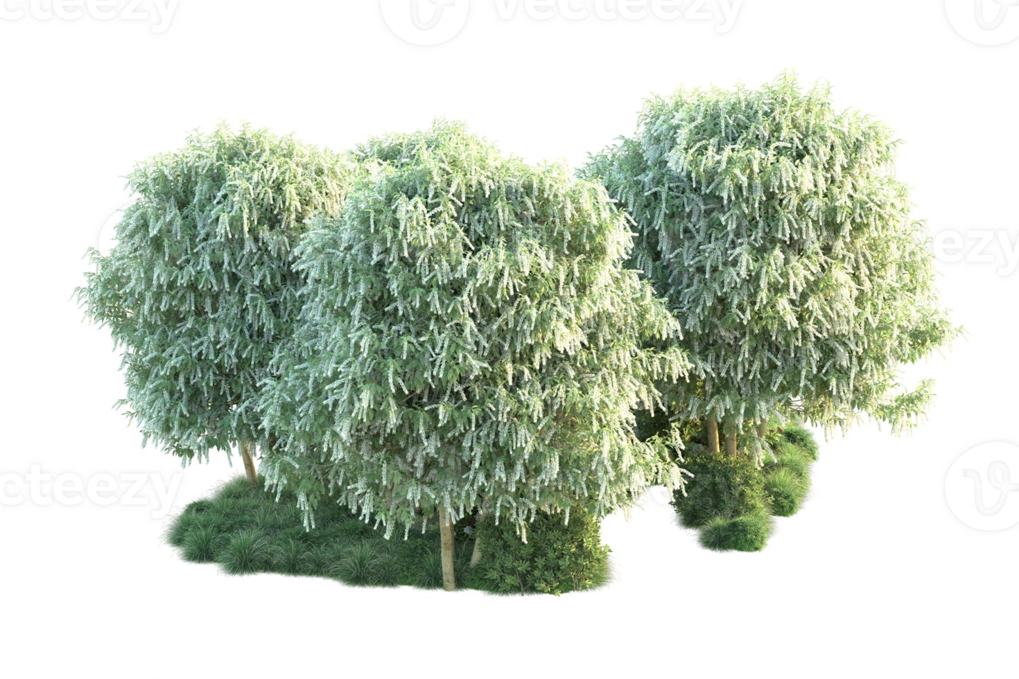 Tropical forest isolated on transparent background. 3d rendering - illustration png