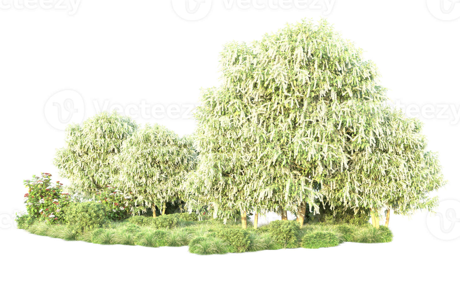 Tropical forest isolated on transparent background. 3d rendering - illustration png