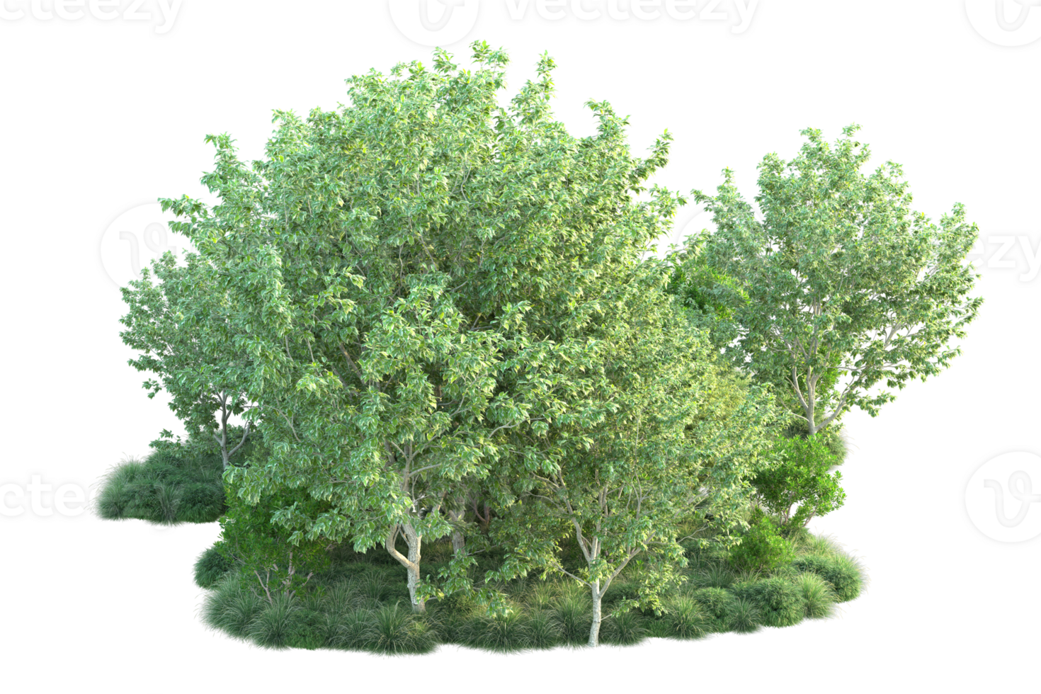 Tropical forest isolated on transparent background. 3d rendering - illustration png