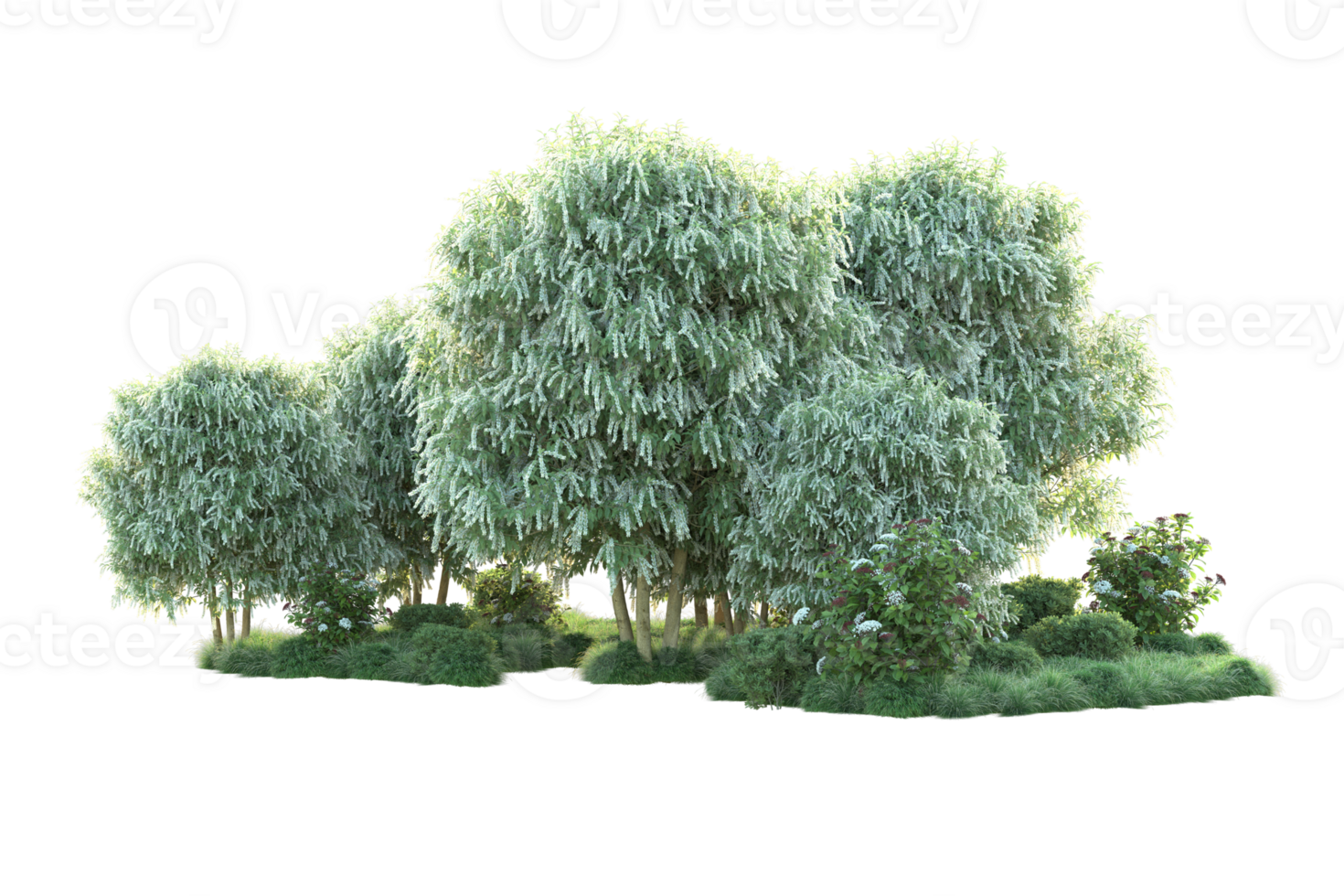 Tropical forest isolated on transparent background. 3d rendering - illustration png