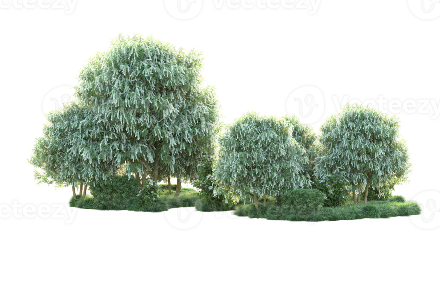 Tropical forest isolated on transparent background. 3d rendering - illustration png