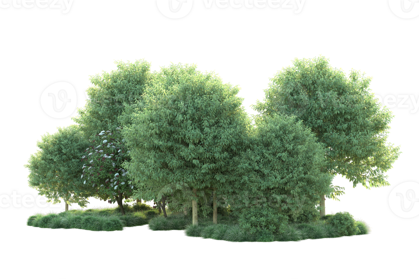 Tropical forest isolated on transparent background. 3d rendering - illustration png