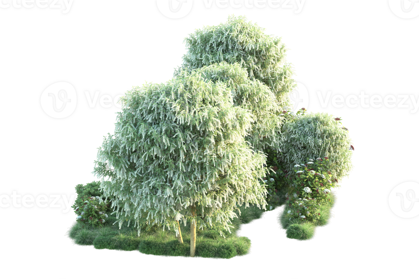 Tropical forest isolated on transparent background. 3d rendering - illustration png