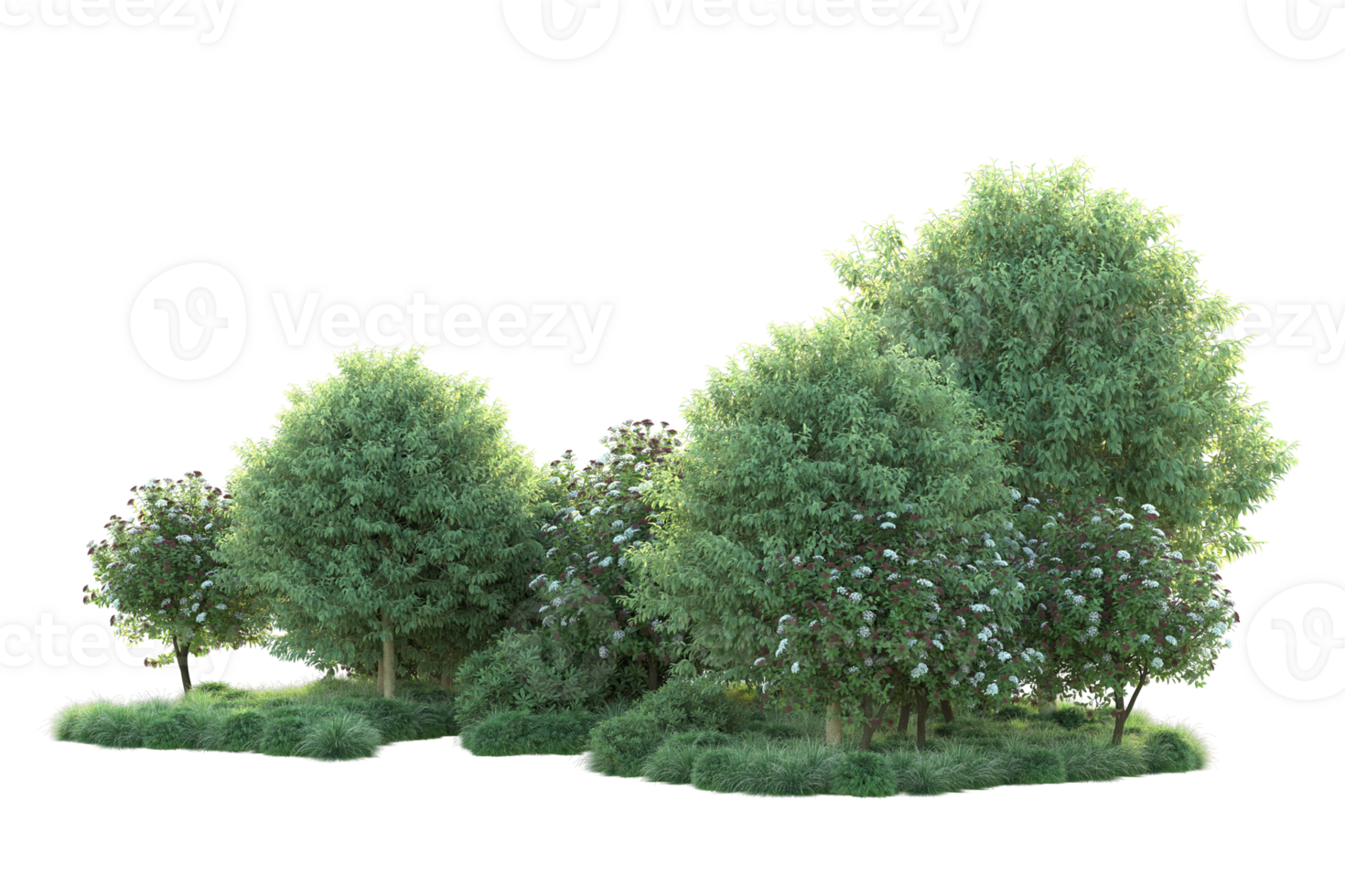 Tropical forest isolated on transparent background. 3d rendering - illustration png
