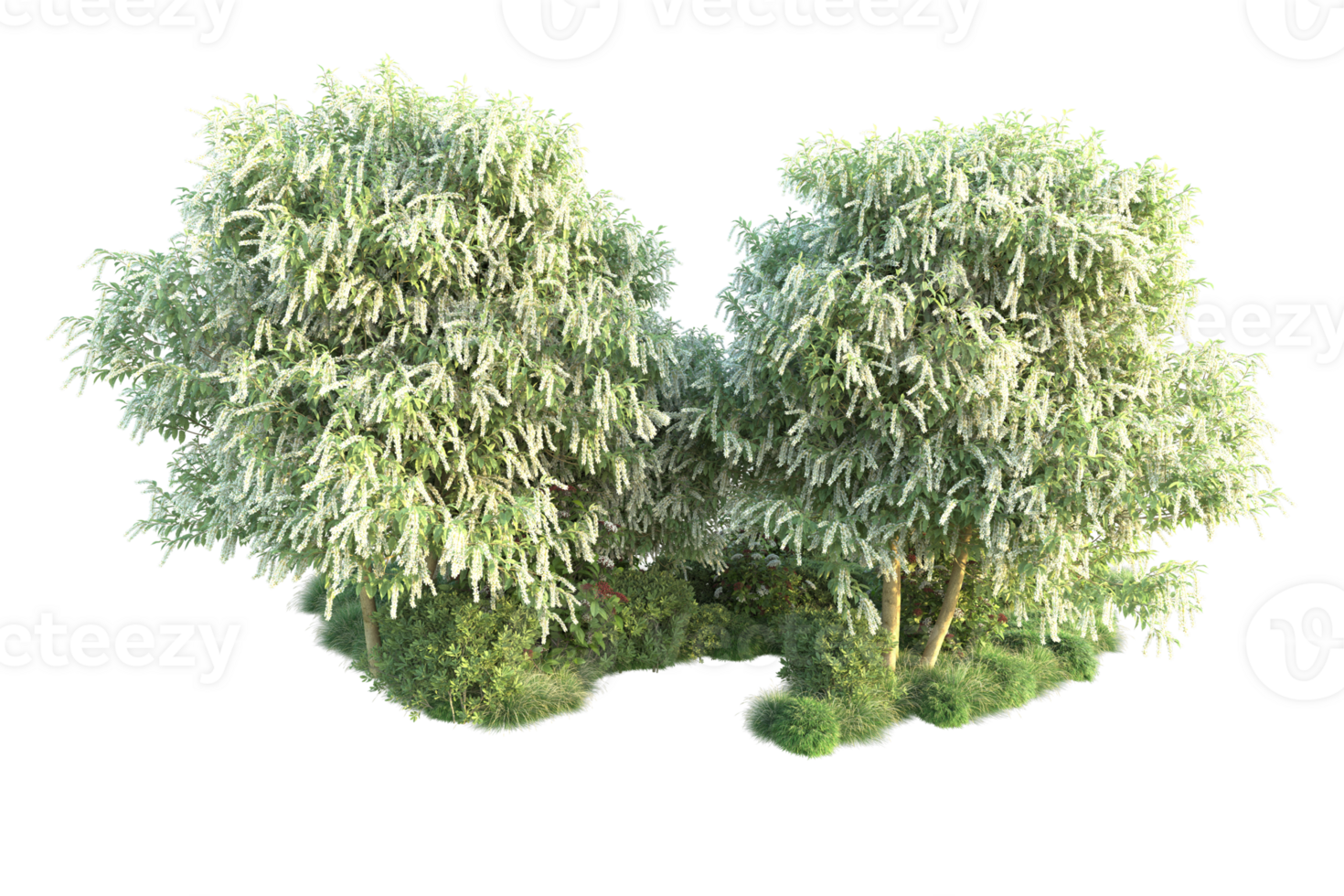 Tropical forest isolated on transparent background. 3d rendering - illustration png