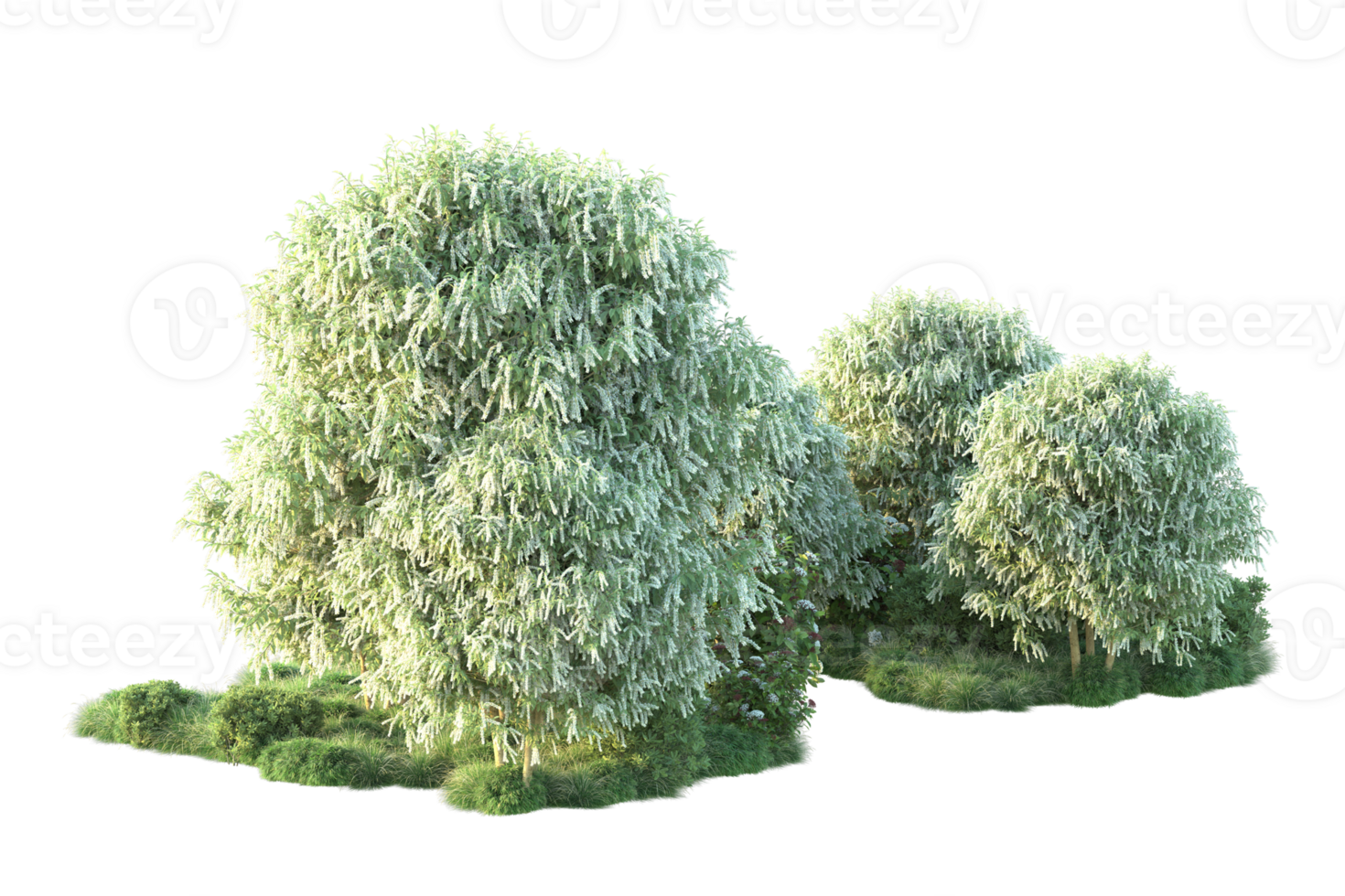 Tropical forest isolated on transparent background. 3d rendering - illustration png