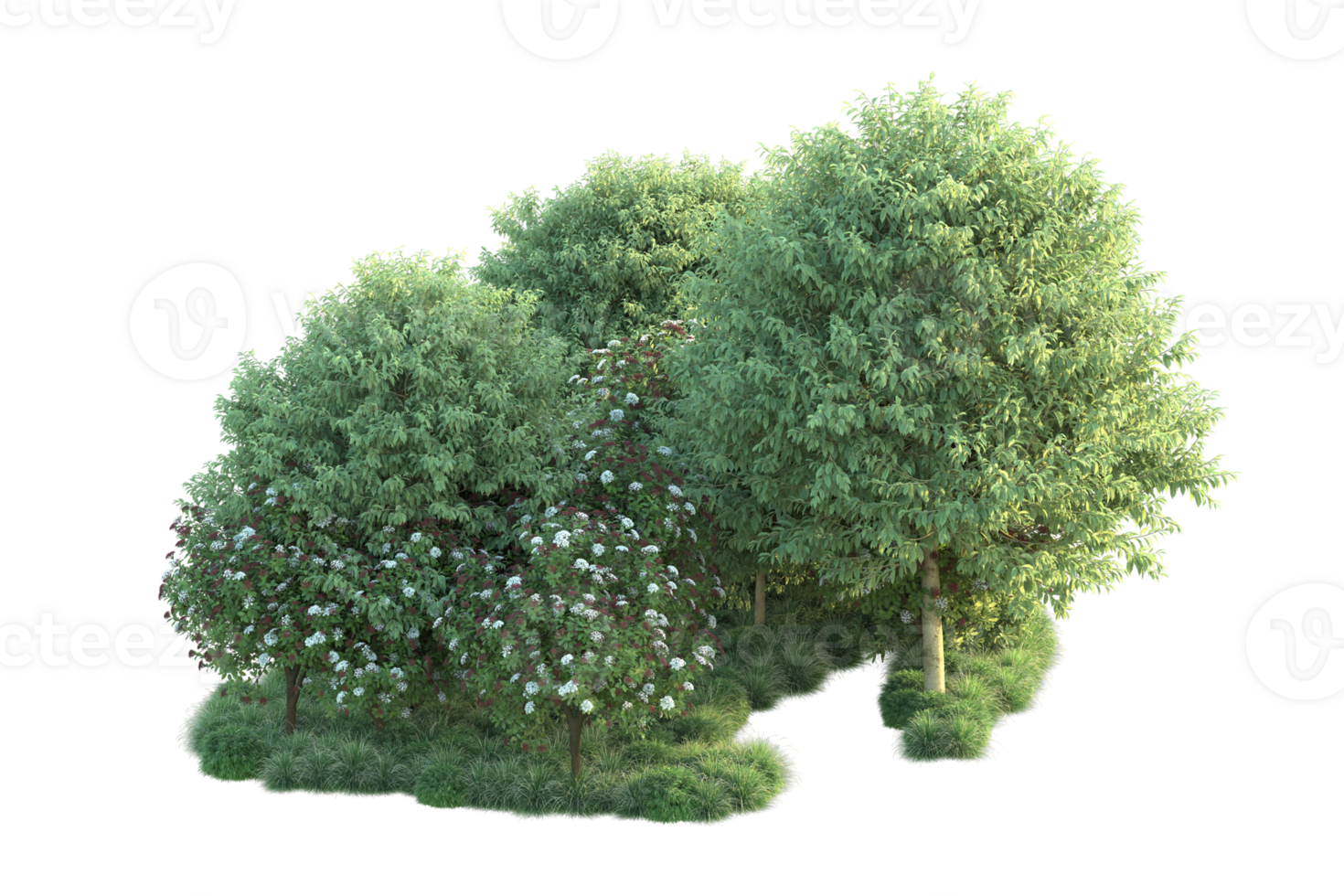 Tropical forest isolated on transparent background. 3d rendering - illustration png