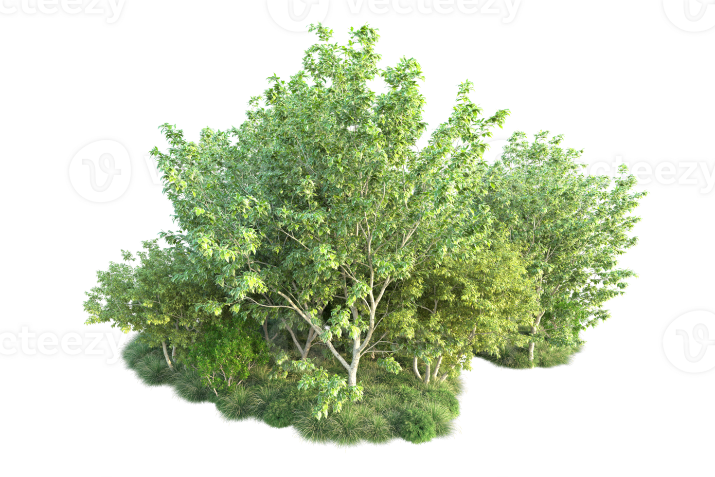 Tropical forest isolated on transparent background. 3d rendering - illustration png