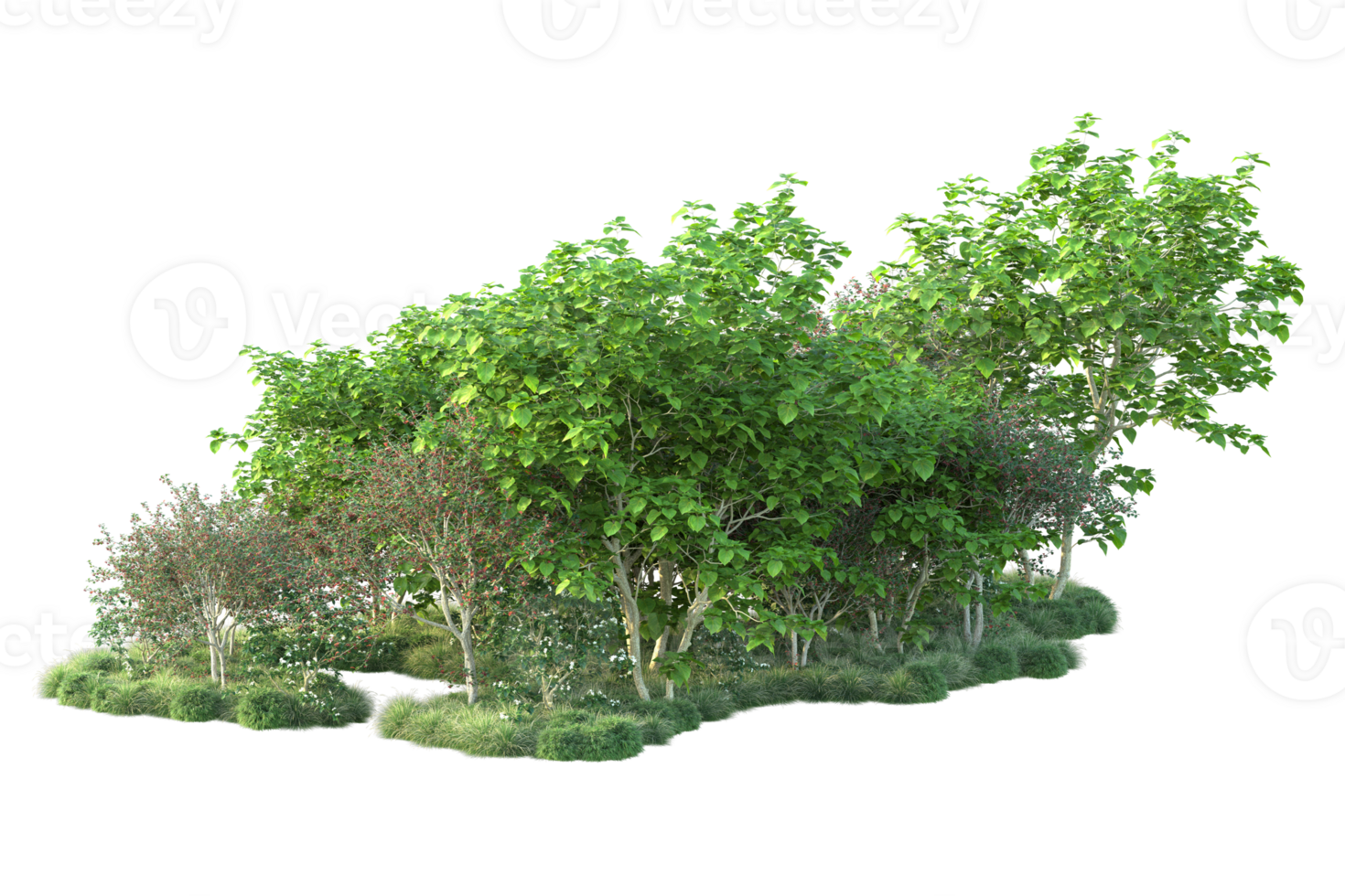 Tropical forest isolated on transparent background. 3d rendering - illustration png