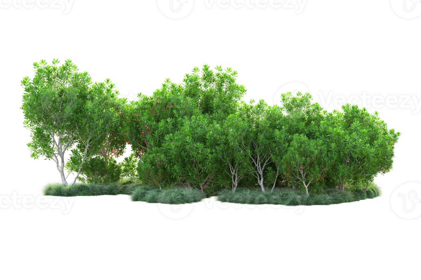 Tropical forest isolated on transparent background. 3d rendering - illustration png