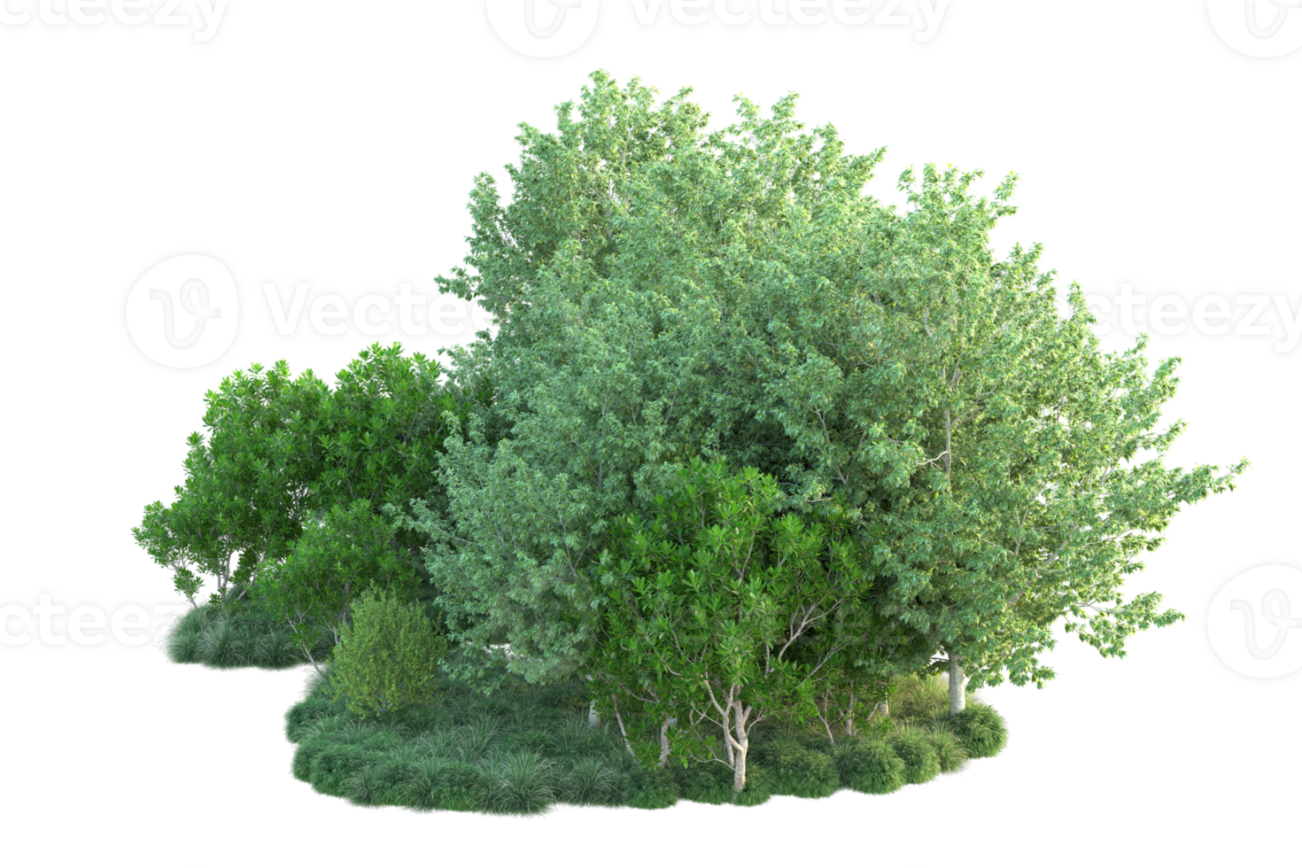 Tropical forest isolated on transparent background. 3d rendering - illustration png