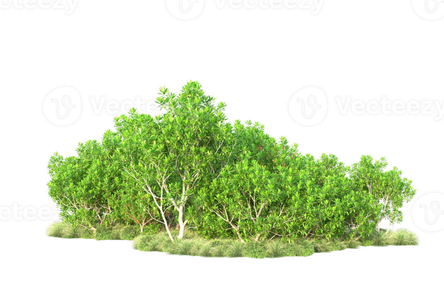 Tropical forest isolated on transparent background. 3d rendering - illustration png