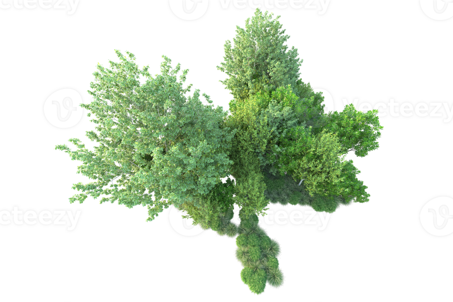 Tropical forest isolated on transparent background. 3d rendering - illustration png