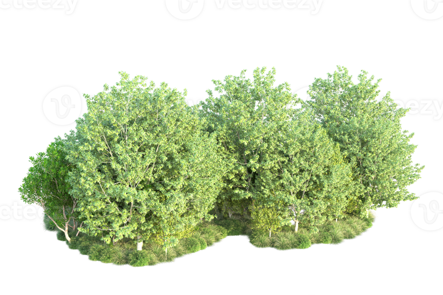 Tropical forest isolated on transparent background. 3d rendering - illustration png