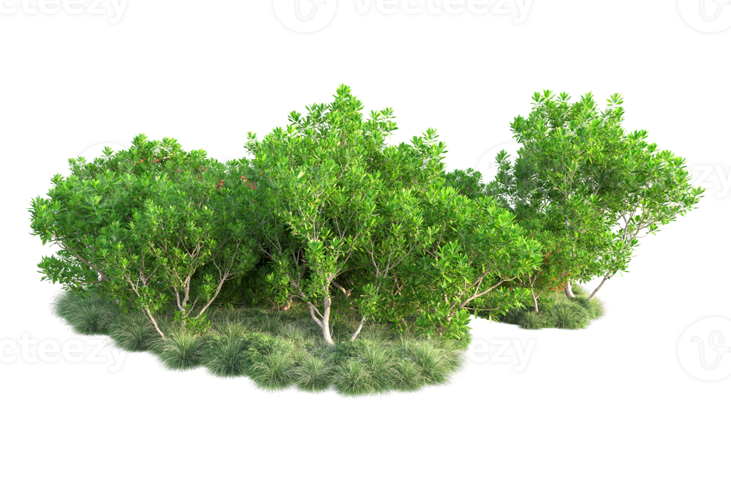 Tropical forest isolated on transparent background. 3d rendering - illustration png