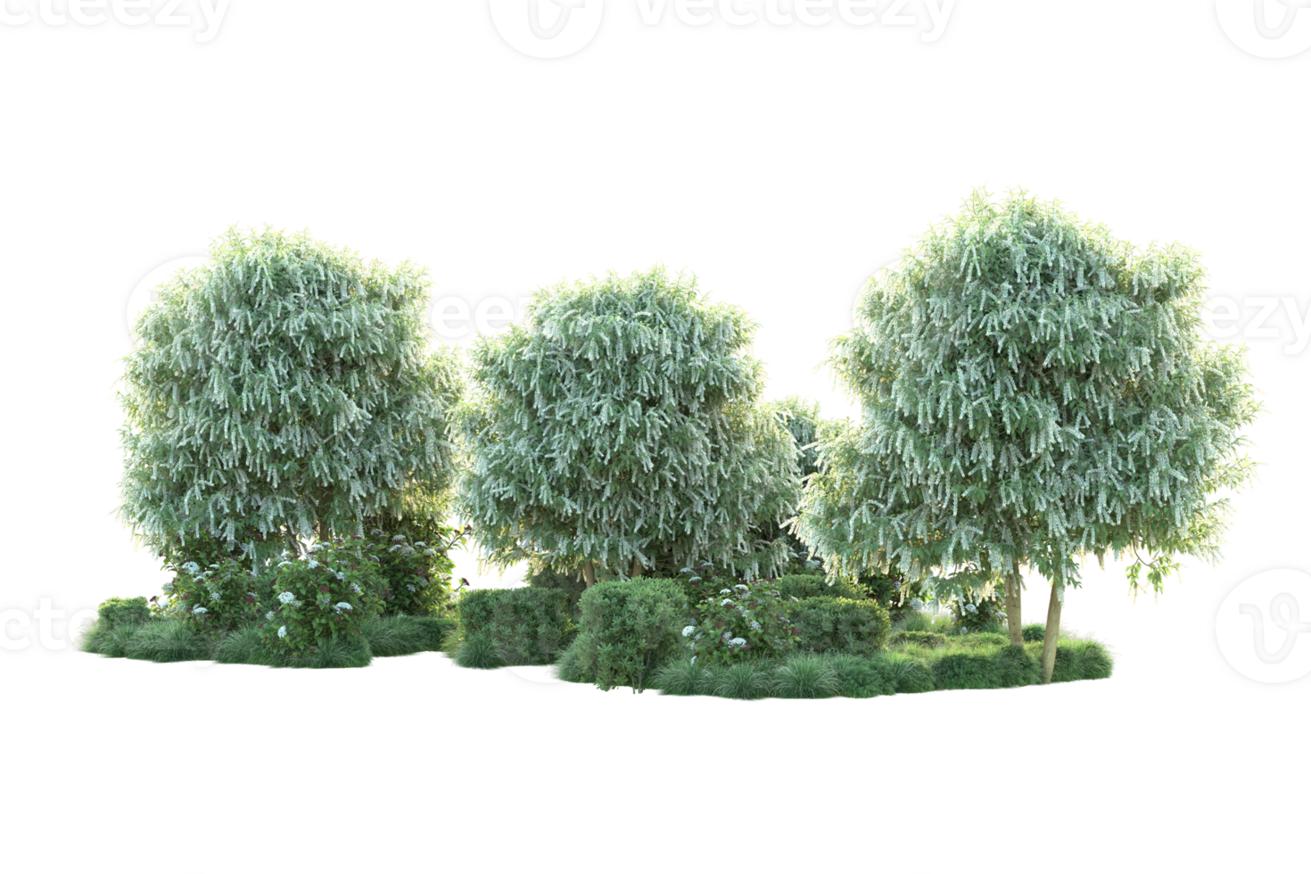 Tropical forest isolated on transparent background. 3d rendering - illustration png