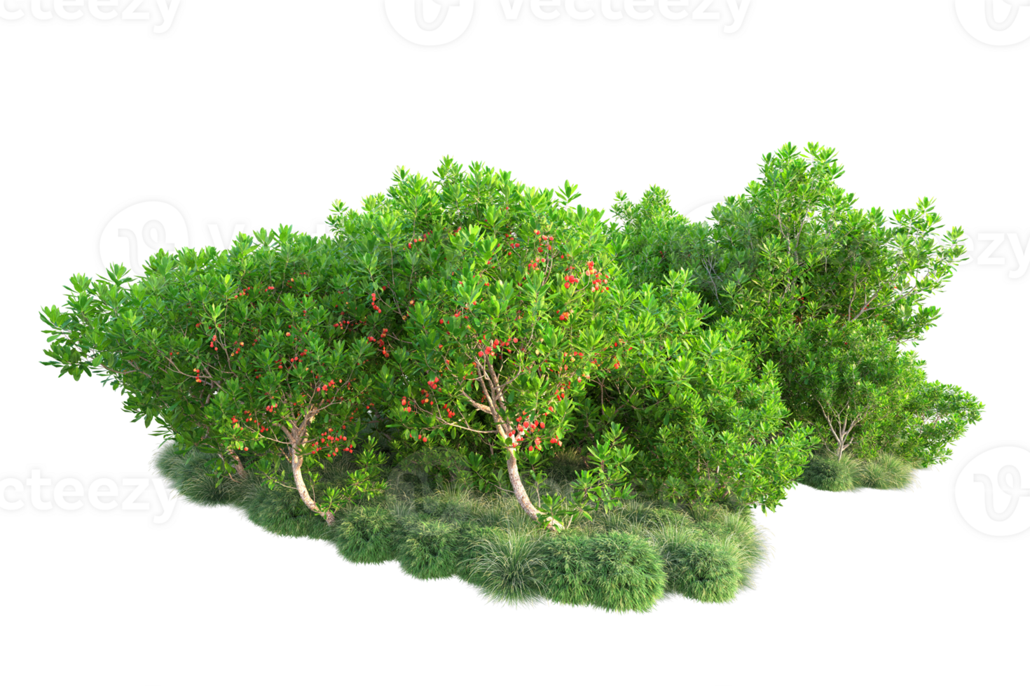 Tropical forest isolated on transparent background. 3d rendering - illustration png