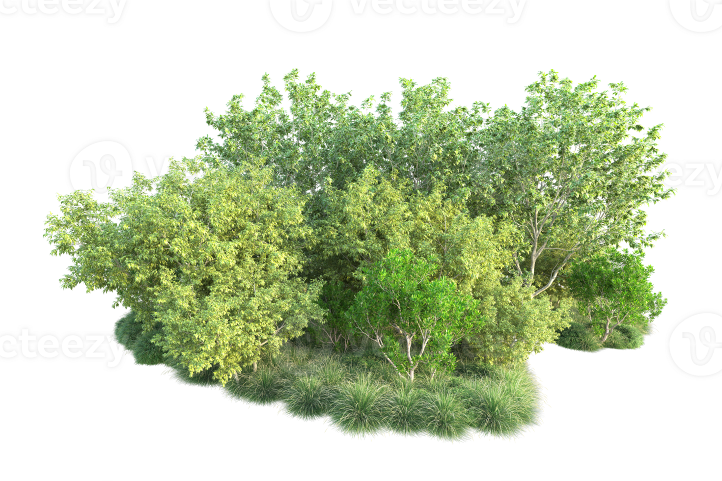 Tropical forest isolated on transparent background. 3d rendering - illustration png
