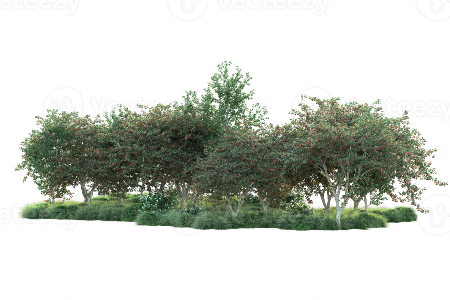 Tropical forest isolated on transparent background. 3d rendering - illustration png