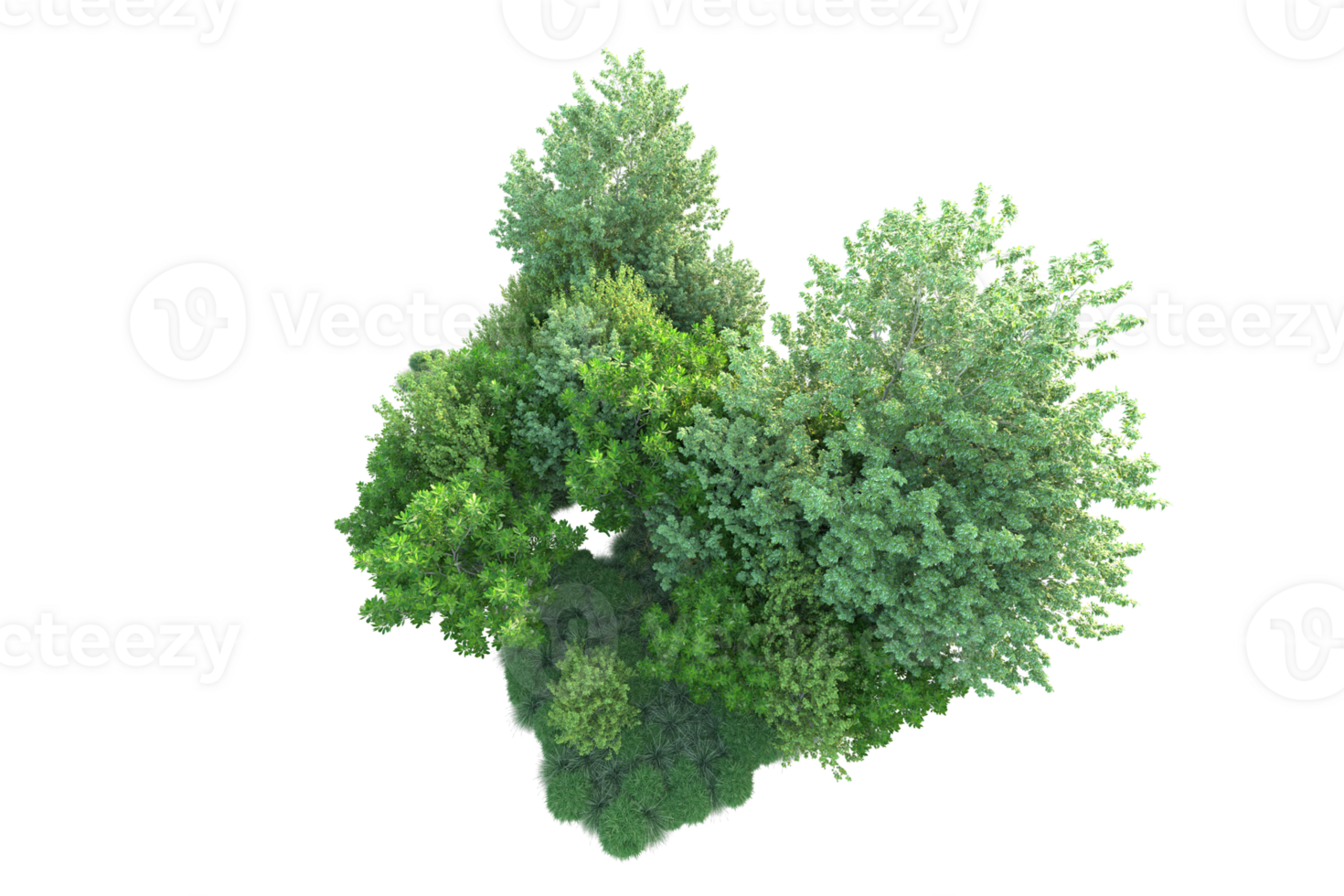 Tropical forest isolated on transparent background. 3d rendering - illustration png
