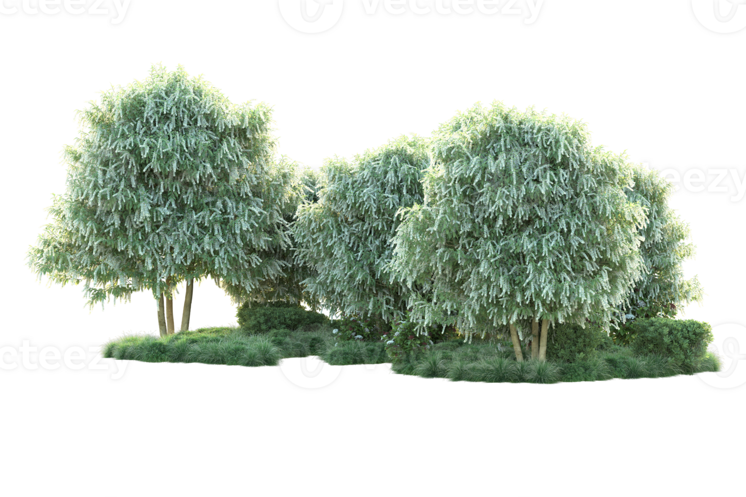 Tropical forest isolated on transparent background. 3d rendering - illustration png