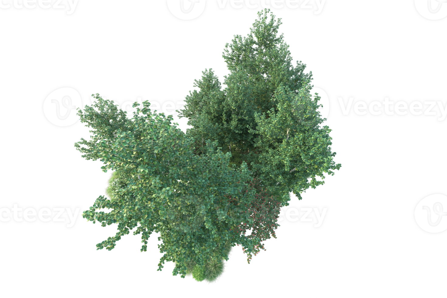 Tropical forest isolated on transparent background. 3d rendering - illustration png