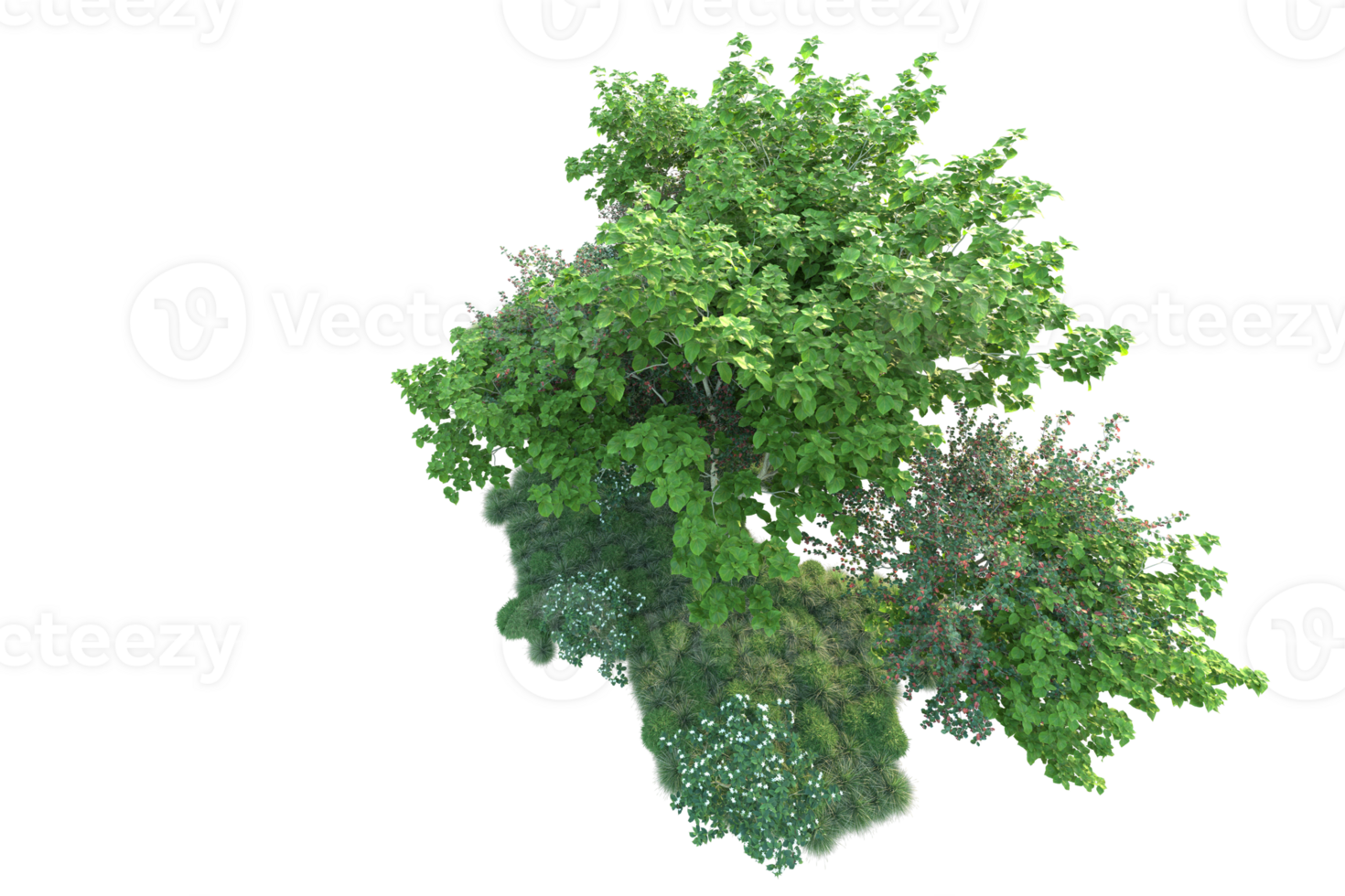 Tropical forest isolated on transparent background. 3d rendering - illustration png