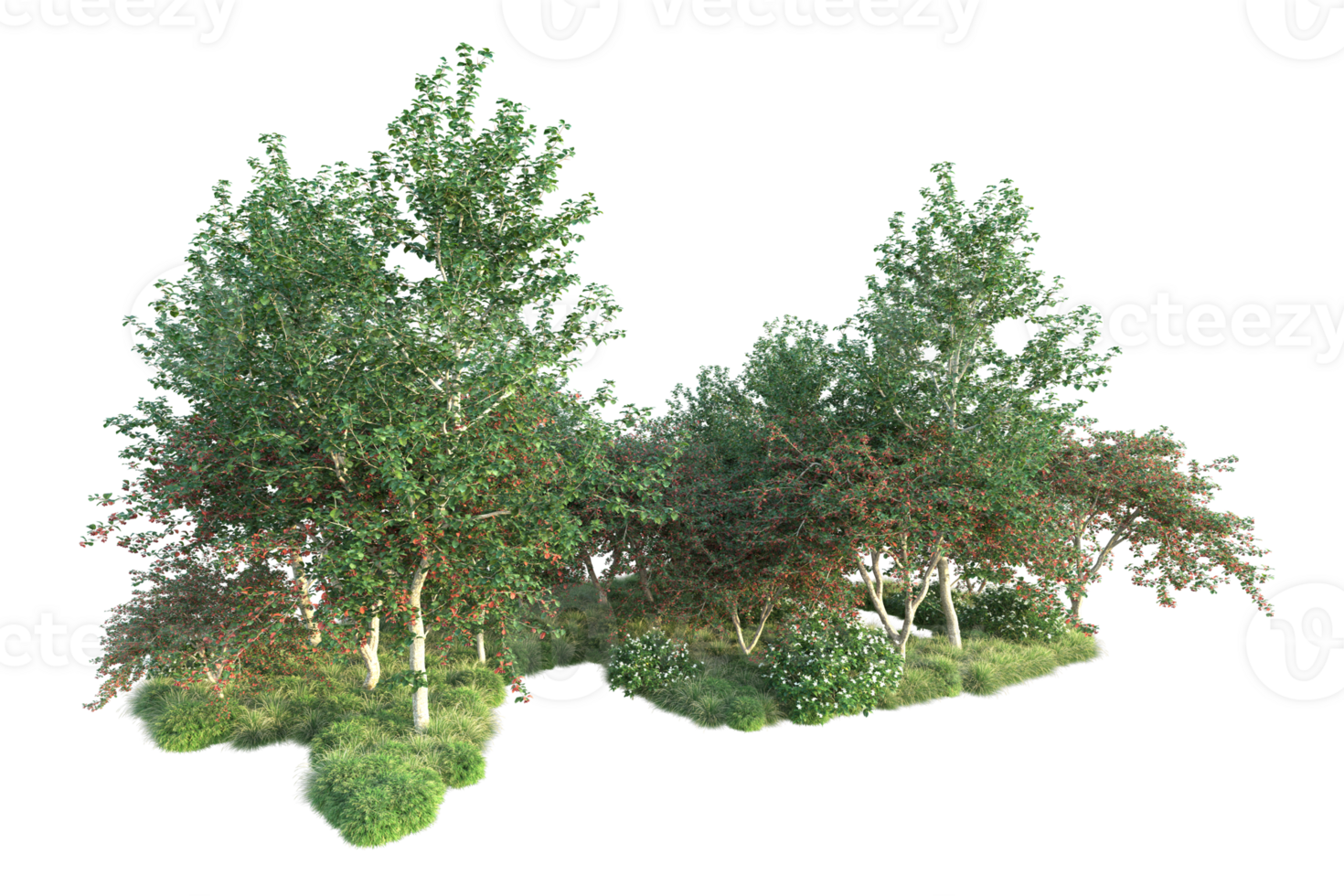 Tropical forest isolated on transparent background. 3d rendering - illustration png