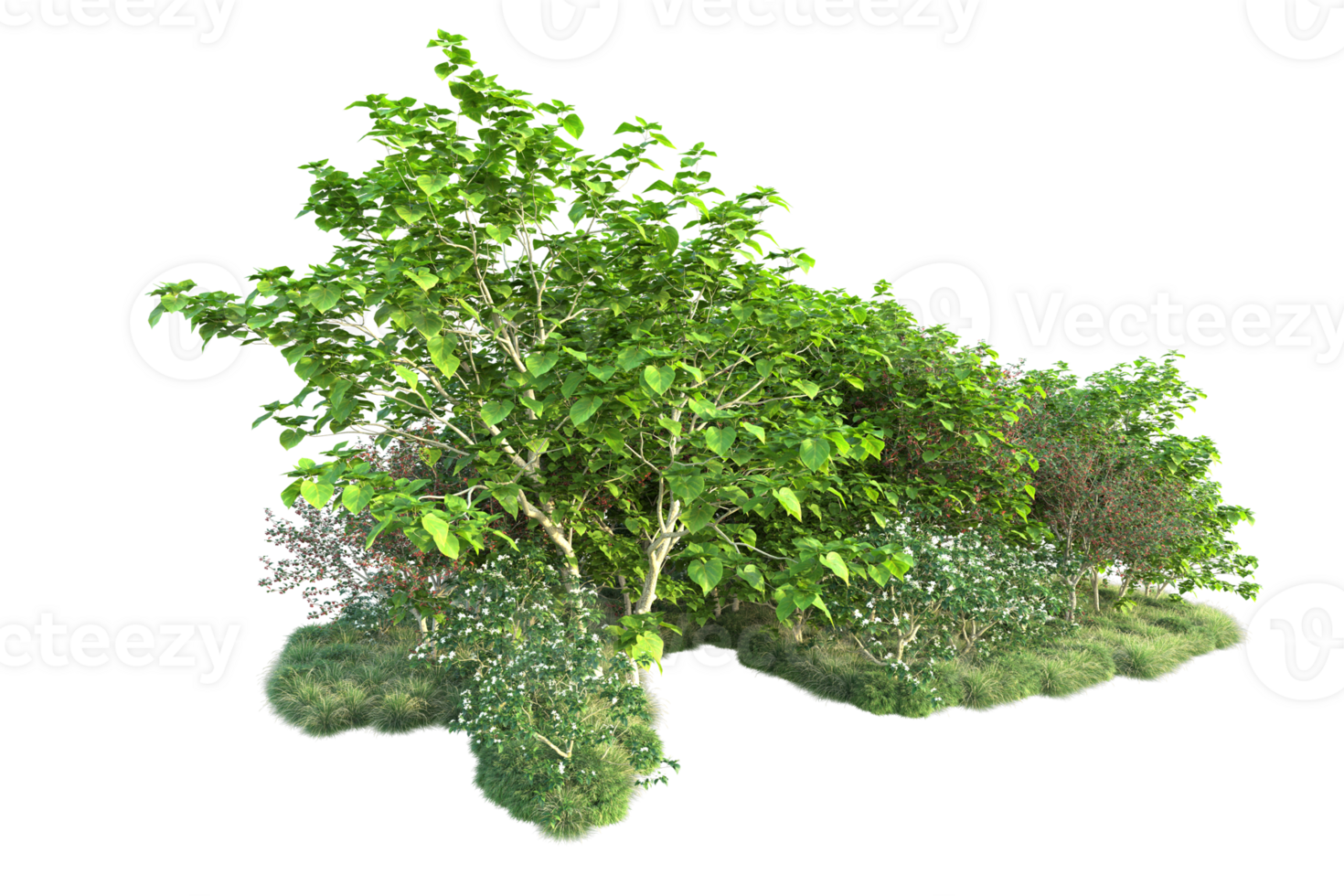 Tropical forest isolated on transparent background. 3d rendering - illustration png