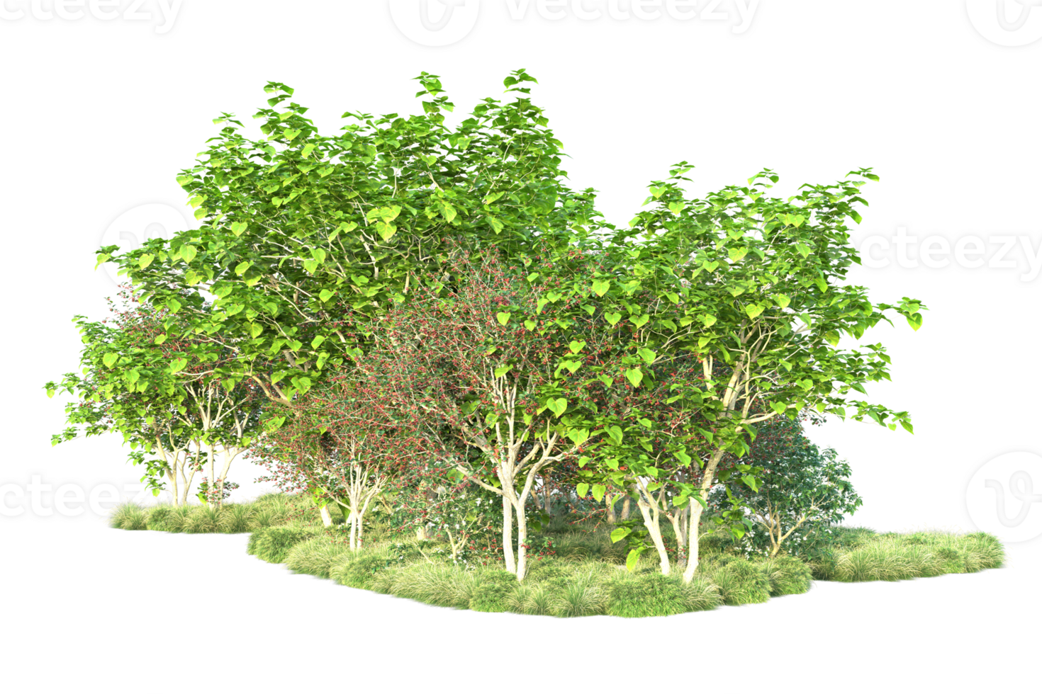 Tropical forest isolated on transparent background. 3d rendering - illustration png
