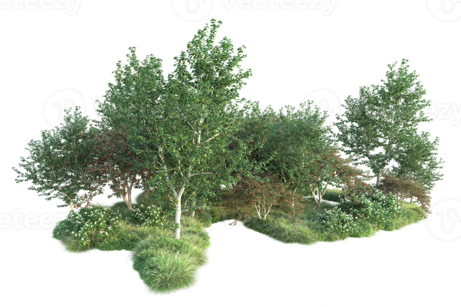 Tropical forest isolated on transparent background. 3d rendering - illustration png
