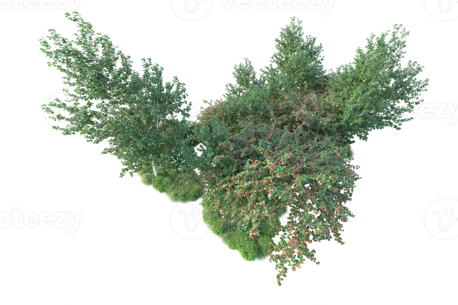 Tropical forest isolated on transparent background. 3d rendering - illustration png