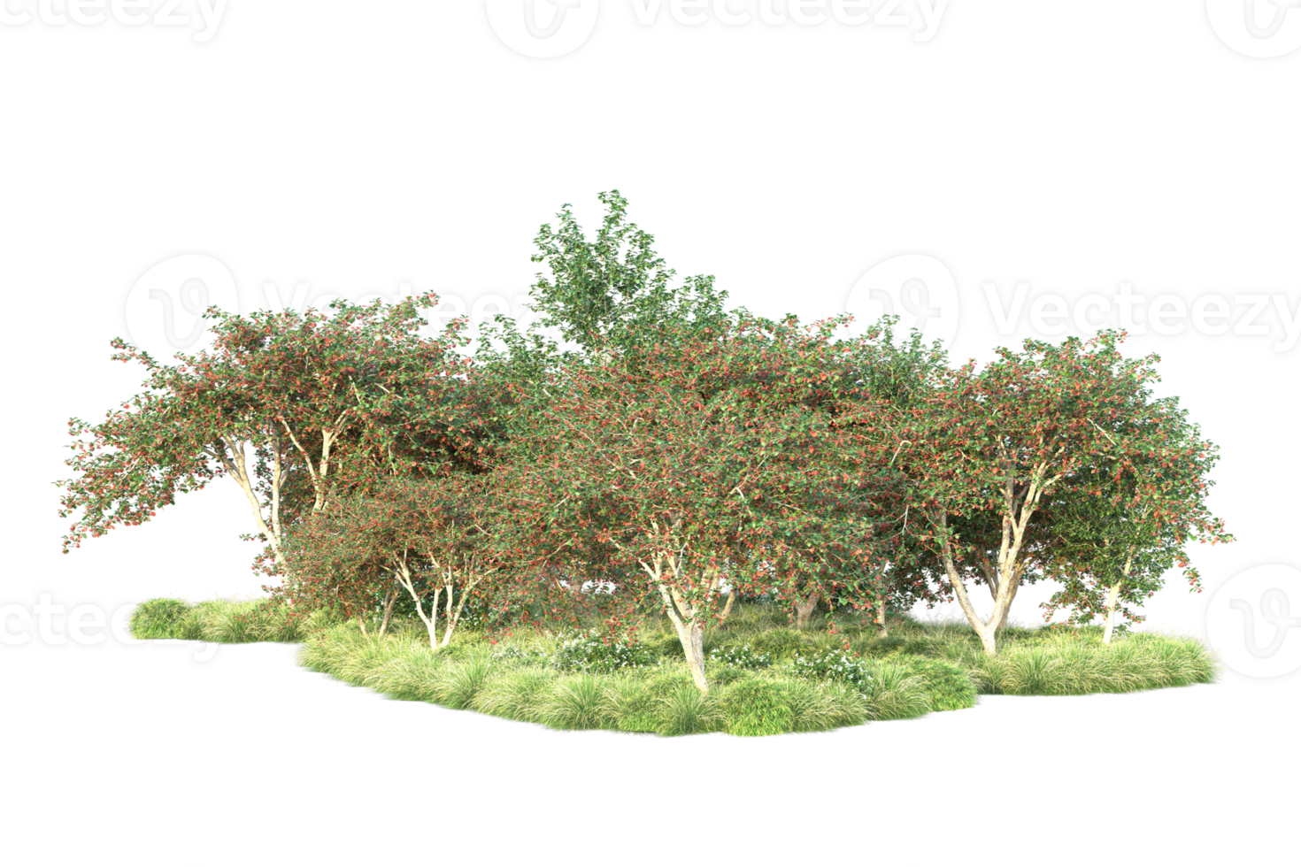 Tropical forest isolated on transparent background. 3d rendering - illustration png