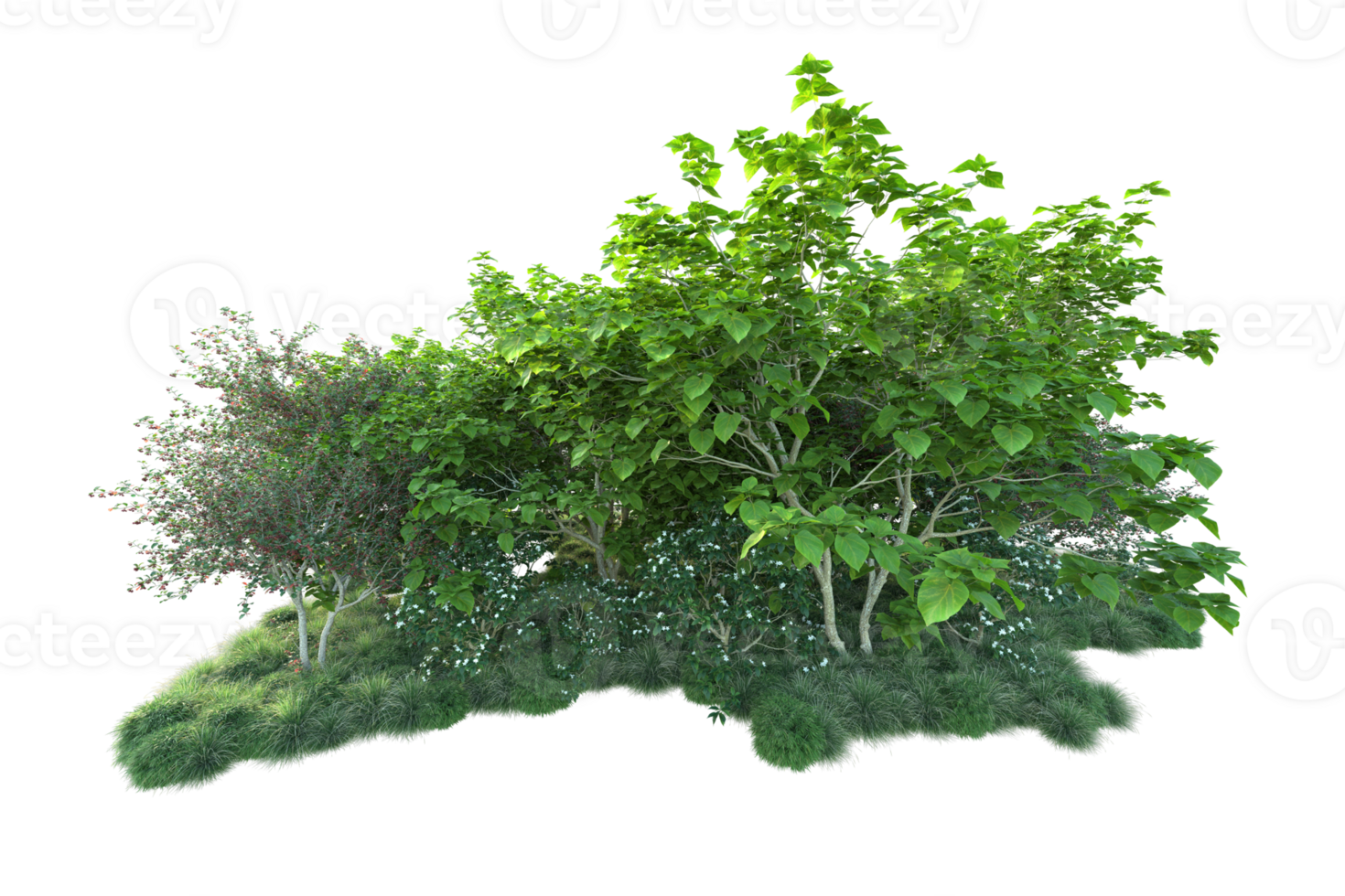 Tropical forest isolated on transparent background. 3d rendering - illustration png