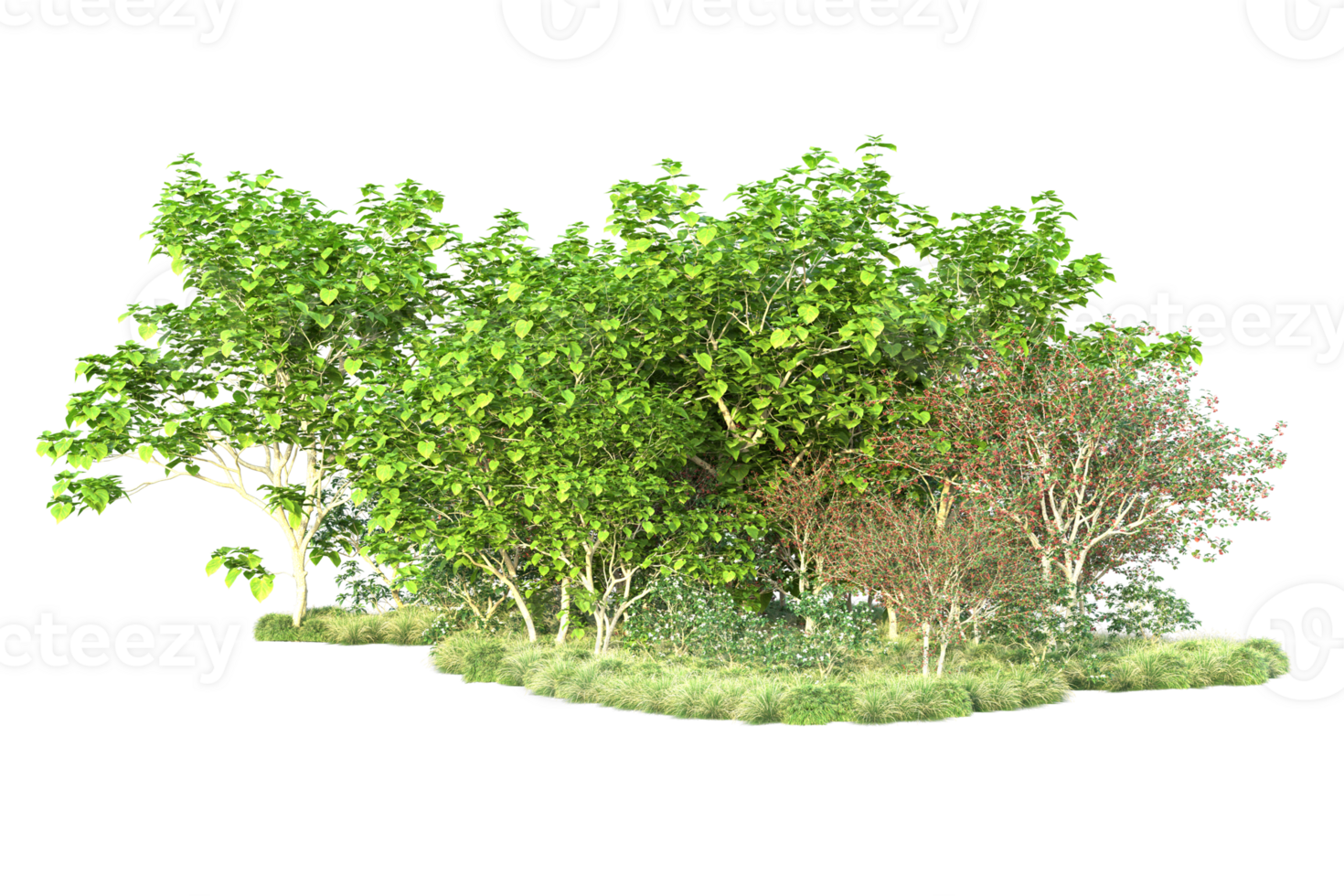 Tropical forest isolated on transparent background. 3d rendering - illustration png