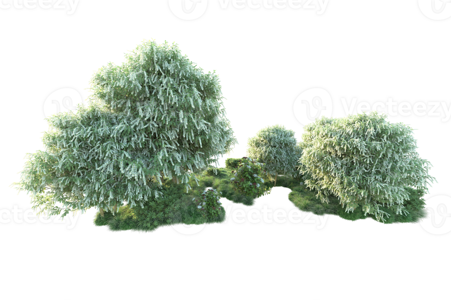 Tropical forest isolated on transparent background. 3d rendering - illustration png