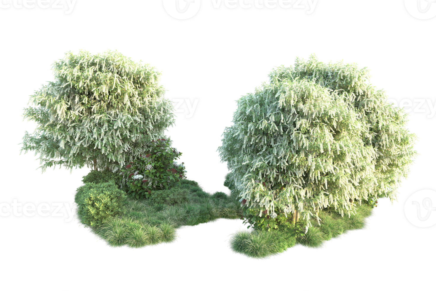 Tropical forest isolated on transparent background. 3d rendering - illustration png