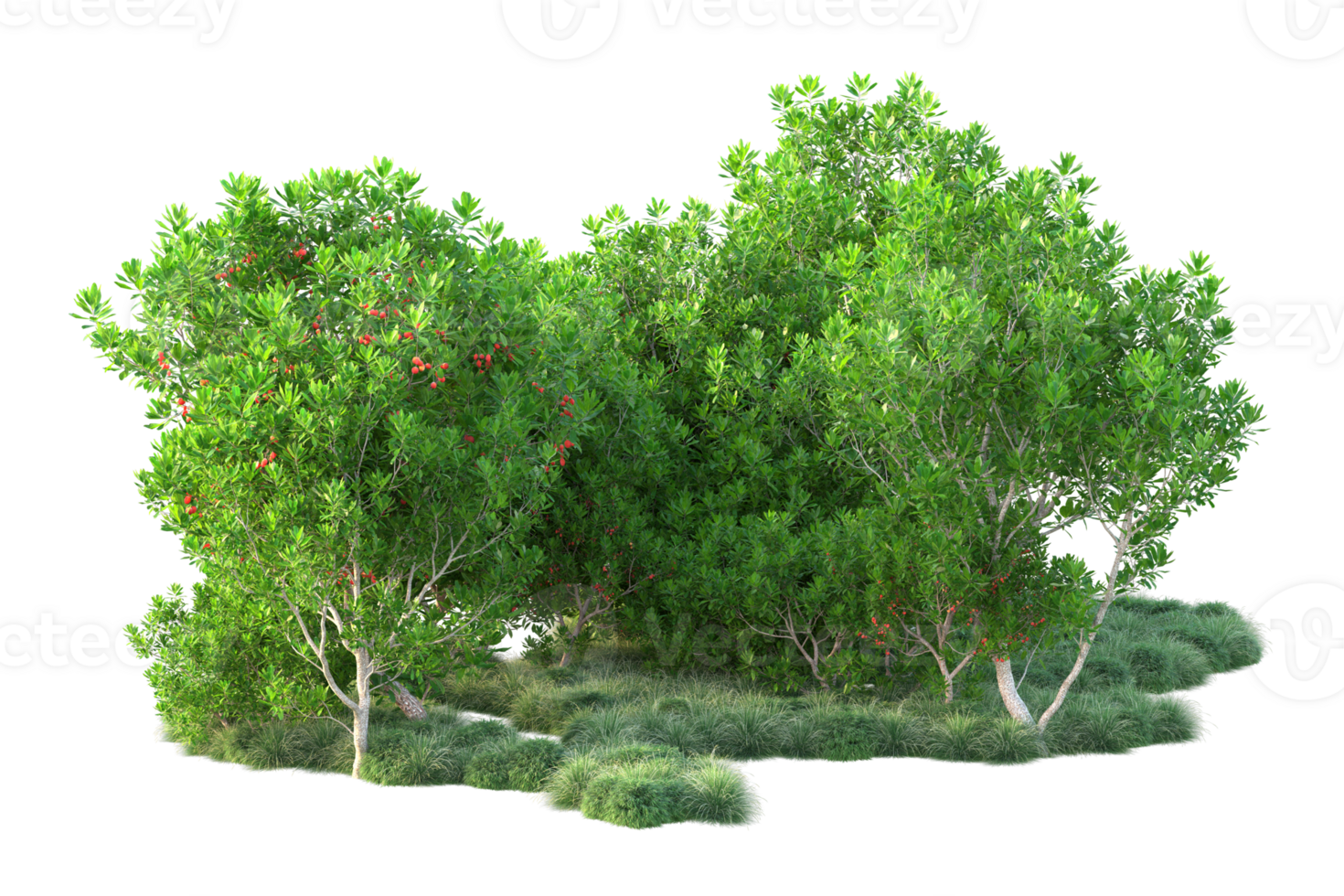 Tropical forest isolated on transparent background. 3d rendering - illustration png