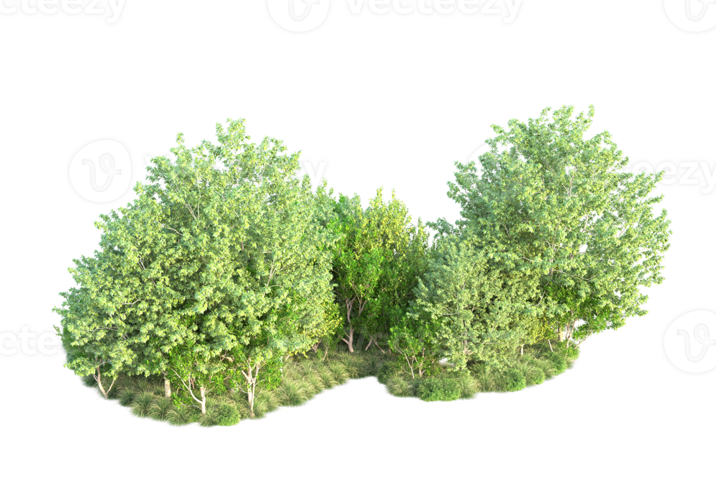 Tropical forest isolated on transparent background. 3d rendering - illustration png