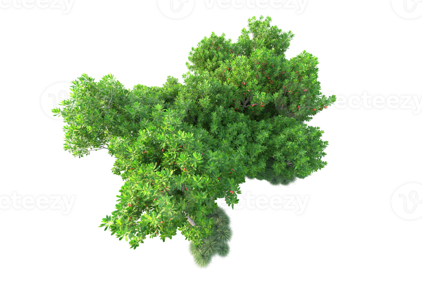 Tropical forest isolated on transparent background. 3d rendering - illustration png