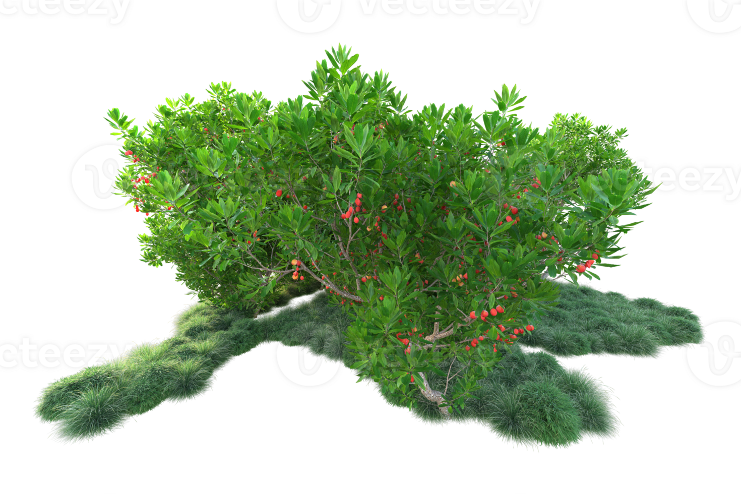 Tropical forest isolated on transparent background. 3d rendering - illustration png