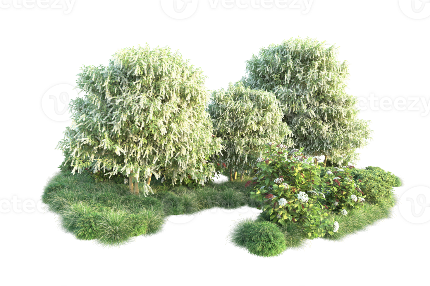 Tropical forest isolated on transparent background. 3d rendering - illustration png