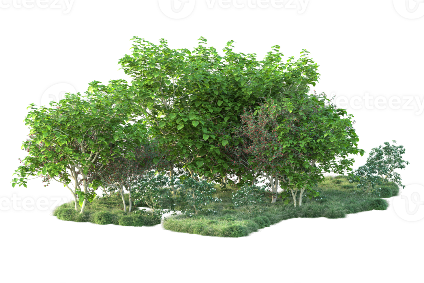 Tropical forest isolated on transparent background. 3d rendering - illustration png