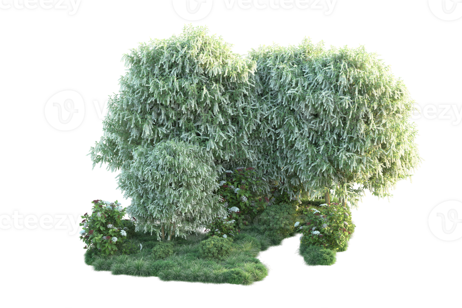 Tropical forest isolated on transparent background. 3d rendering - illustration png