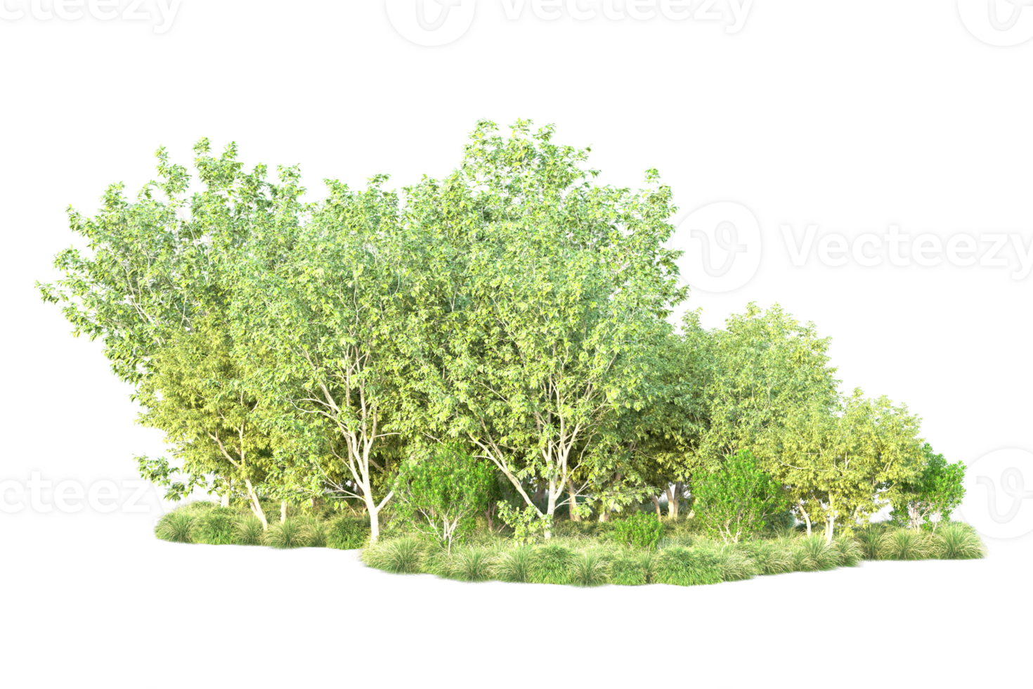 Tropical forest isolated on transparent background. 3d rendering - illustration png