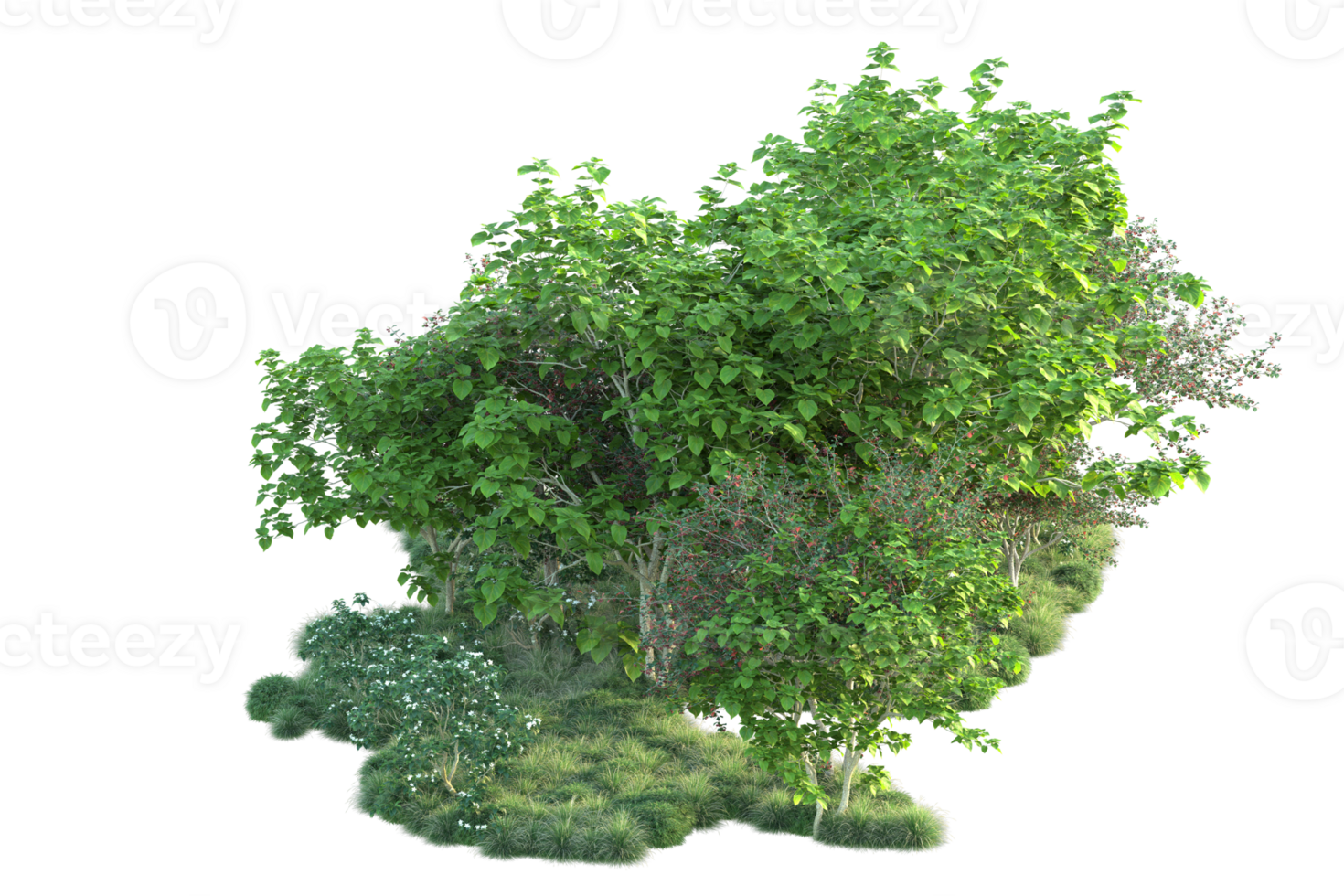 Tropical forest isolated on transparent background. 3d rendering - illustration png