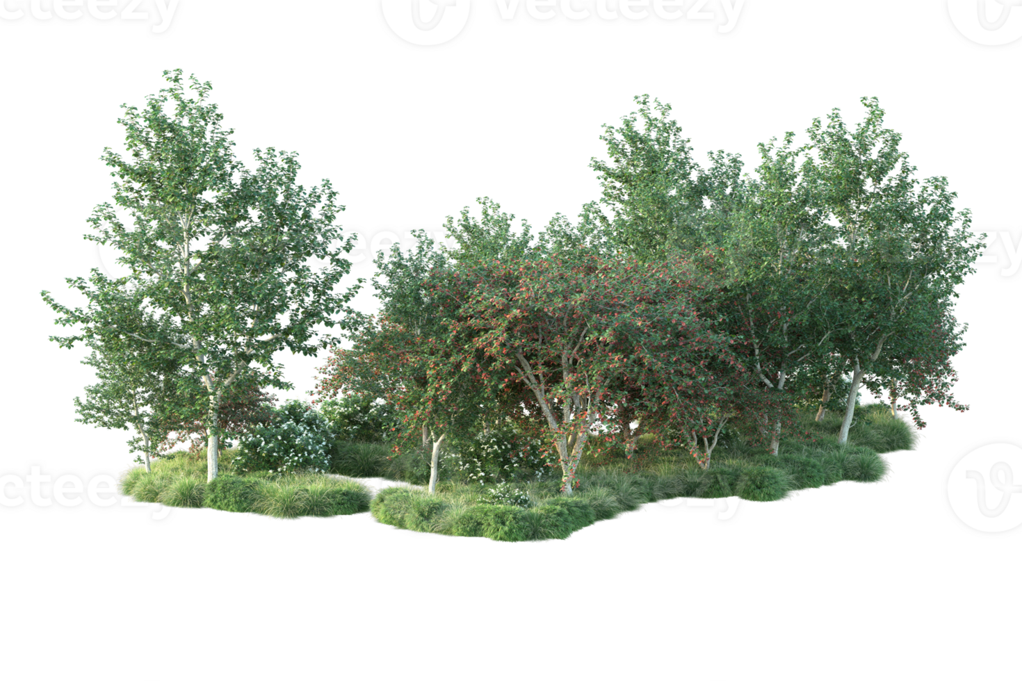 Tropical forest isolated on transparent background. 3d rendering - illustration png