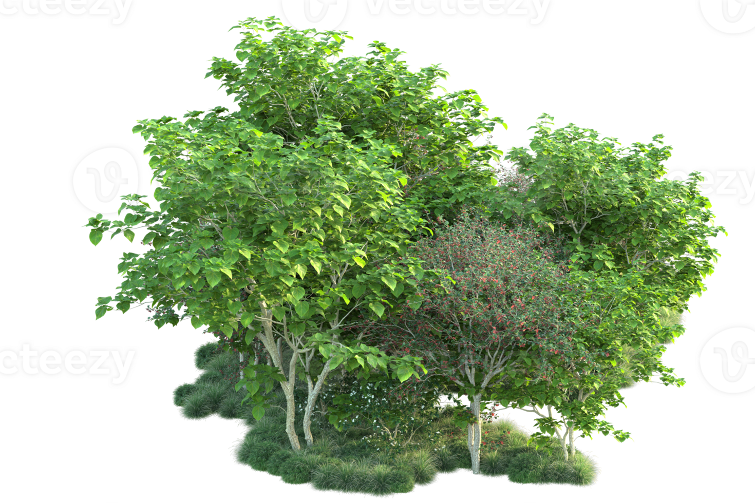 Tropical forest isolated on transparent background. 3d rendering - illustration png