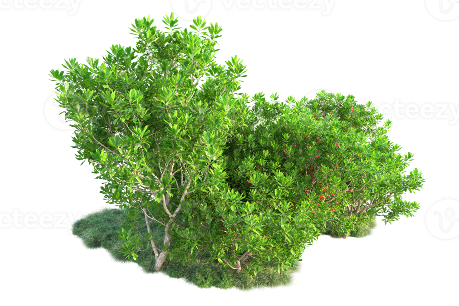 Tropical forest isolated on transparent background. 3d rendering - illustration png