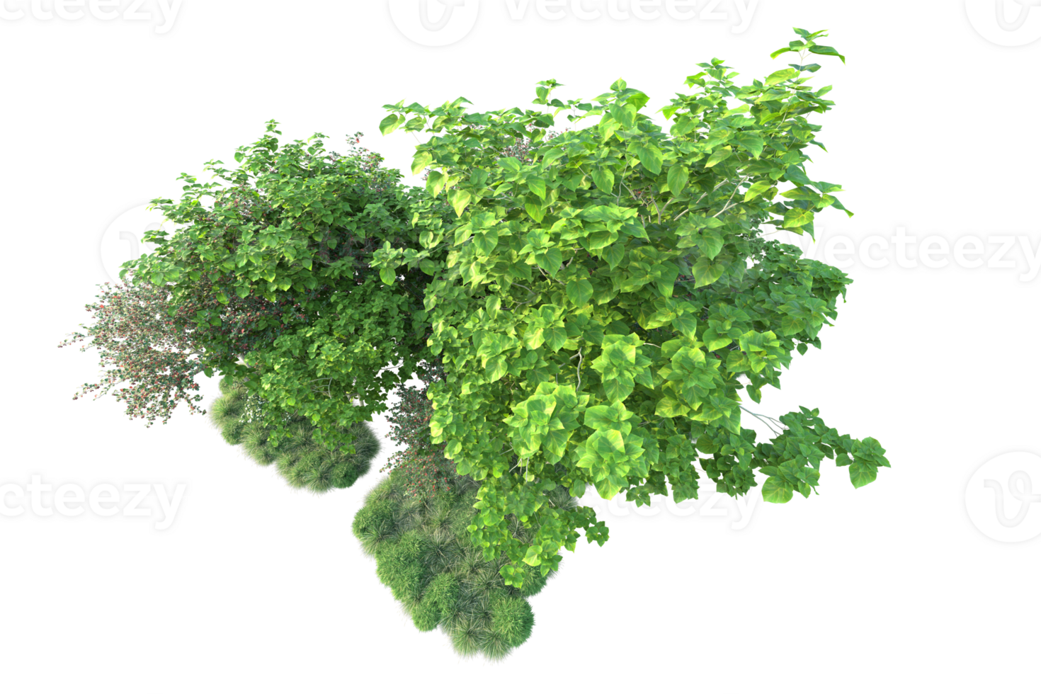 Tropical forest isolated on transparent background. 3d rendering - illustration png